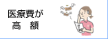 医療費が高額